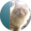 Maui M. Avatar