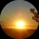 Lauren S. Avatar