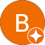 B L. Avatar