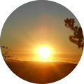 Lauren S. Avatar