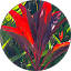 dallas h. Avatar